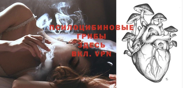 соль ск Михайловск