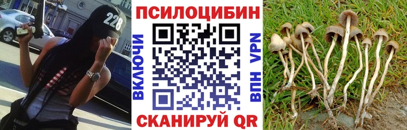Галлюциногенные грибы прущие грибы  продажа наркотиков  Нерчинск 